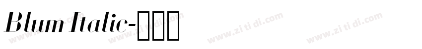 Blum Italic字体转换